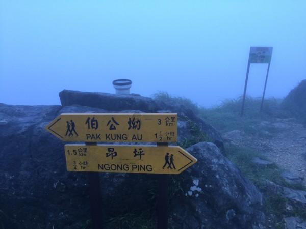 钻石开采者