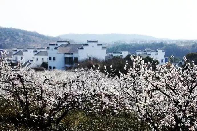 召唤神龙万宁版祖龙