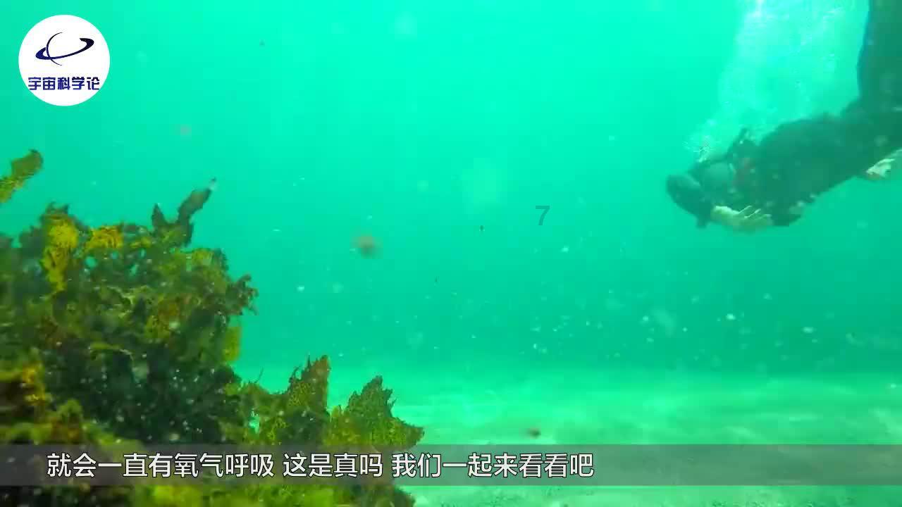 袋鼠兄弟2